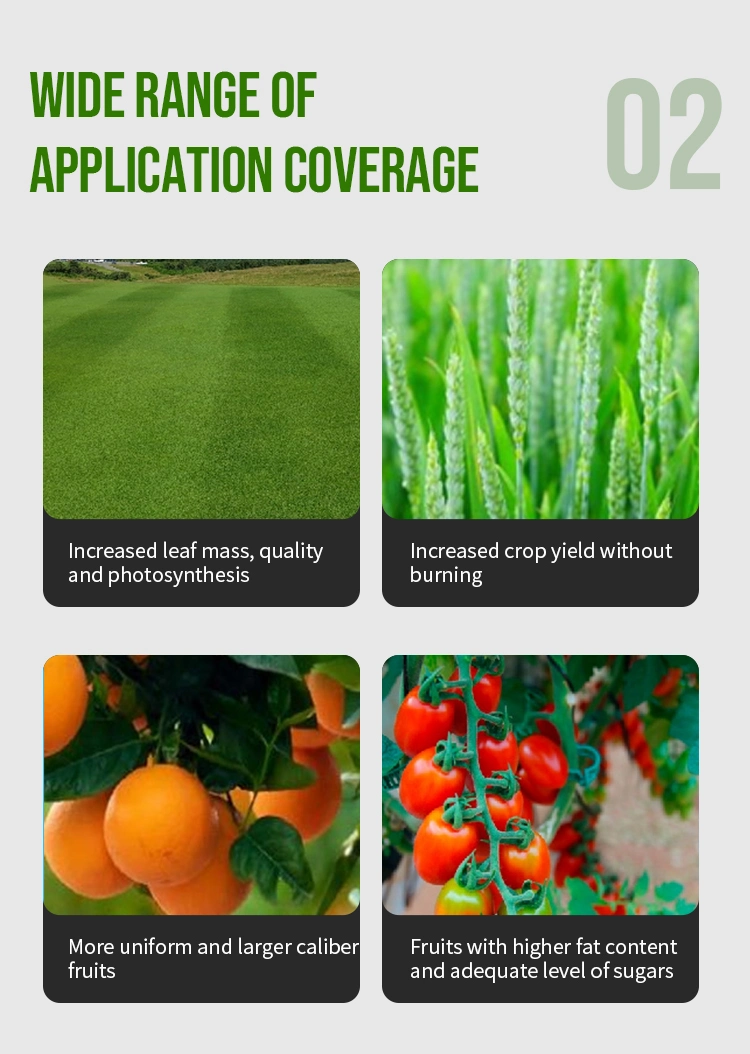 Mu 28-0-0 Nitrogen Fertilizer Solution Methylene Urea Plus High-Efficiency Additives Foliar Fertilizer Slow Release Fertilizer