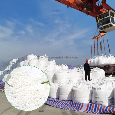 Ammonium Sulphate Granular Fertilizer NPK21-0-0 24s Bulk Nitrogen Fertilizer